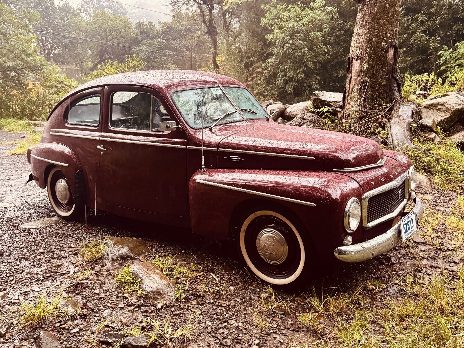 Volvo Pv444